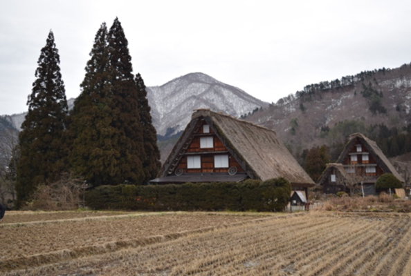 The Gassho Village in Shirakawa-go.Unfortunately, there was no snow.
