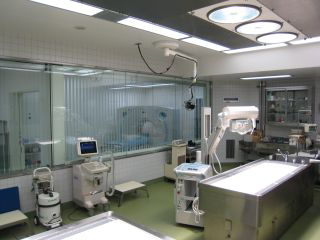Dissecting room